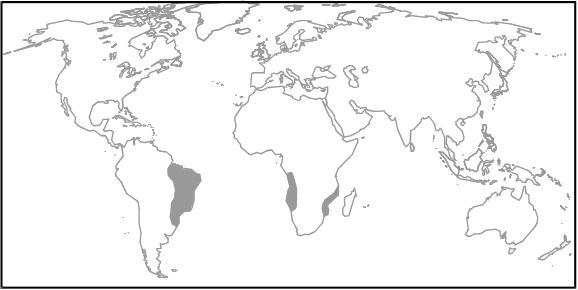 Mid 18 Century Colonies Map.